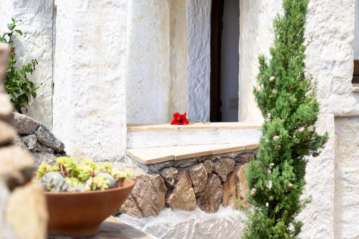 Villa Punta Saline カンニジョネ エクステリア 写真